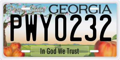 GA license plate PWY0232