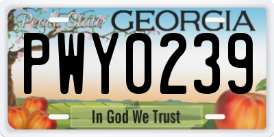 GA license plate PWY0239