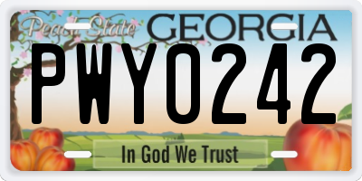 GA license plate PWY0242