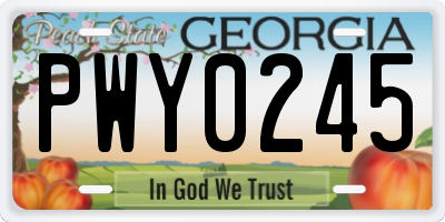 GA license plate PWY0245