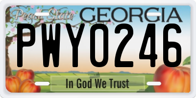 GA license plate PWY0246