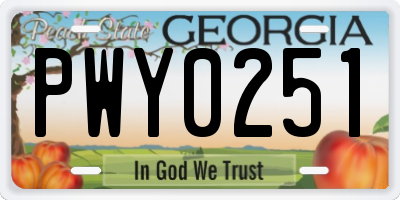 GA license plate PWY0251