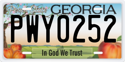 GA license plate PWY0252