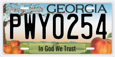 GA license plate PWY0254