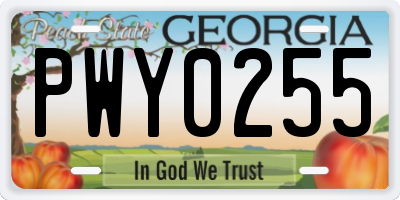GA license plate PWY0255