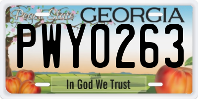 GA license plate PWY0263
