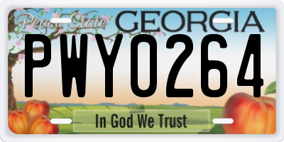 GA license plate PWY0264