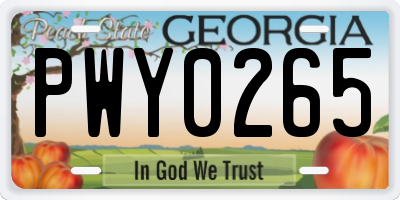 GA license plate PWY0265