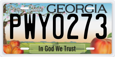 GA license plate PWY0273