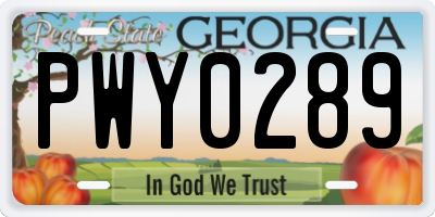 GA license plate PWY0289
