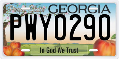 GA license plate PWY0290