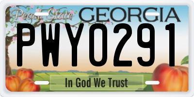 GA license plate PWY0291