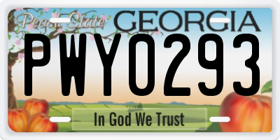 GA license plate PWY0293