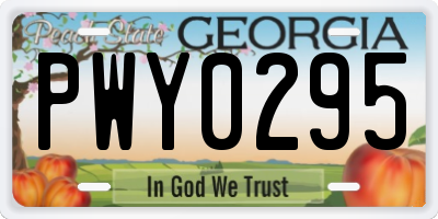 GA license plate PWY0295