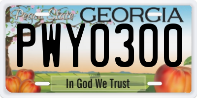 GA license plate PWY0300
