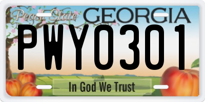 GA license plate PWY0301