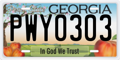 GA license plate PWY0303