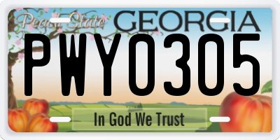 GA license plate PWY0305