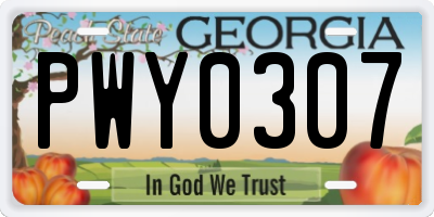 GA license plate PWY0307
