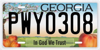 GA license plate PWY0308