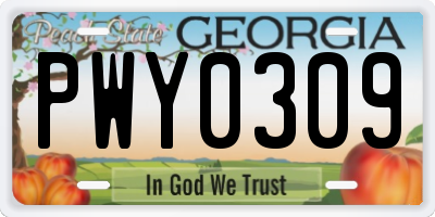 GA license plate PWY0309