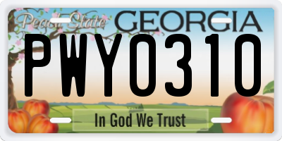 GA license plate PWY0310