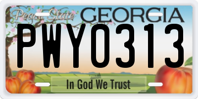 GA license plate PWY0313