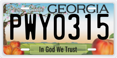 GA license plate PWY0315