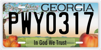 GA license plate PWY0317