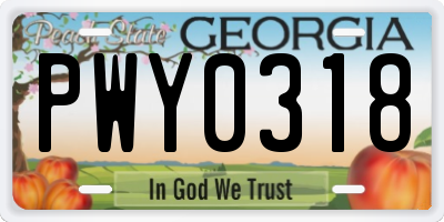 GA license plate PWY0318