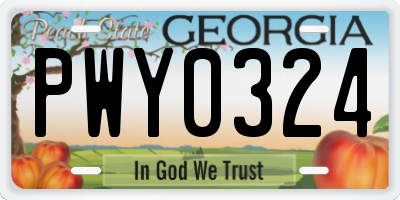GA license plate PWY0324