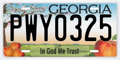 GA license plate PWY0325