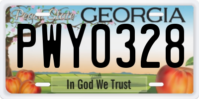 GA license plate PWY0328