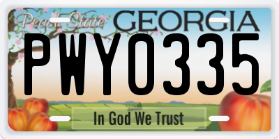 GA license plate PWY0335
