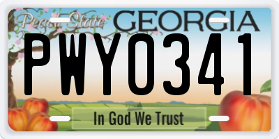 GA license plate PWY0341