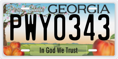 GA license plate PWY0343