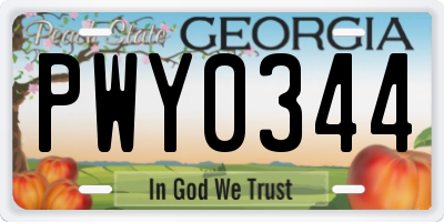 GA license plate PWY0344