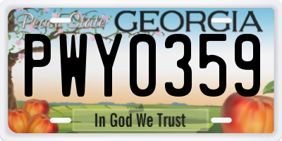 GA license plate PWY0359