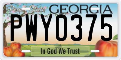 GA license plate PWY0375