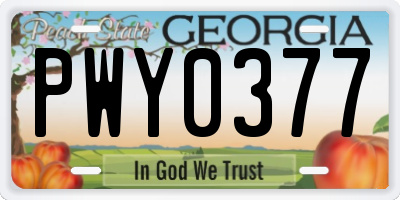 GA license plate PWY0377