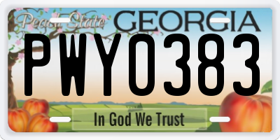 GA license plate PWY0383
