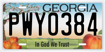 GA license plate PWY0384