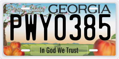 GA license plate PWY0385