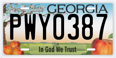 GA license plate PWY0387