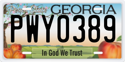 GA license plate PWY0389