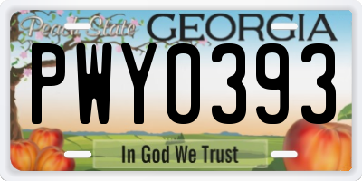 GA license plate PWY0393