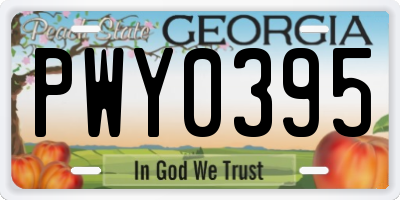 GA license plate PWY0395