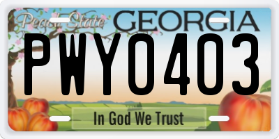 GA license plate PWY0403