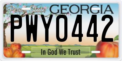 GA license plate PWY0442