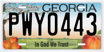 GA license plate PWY0443